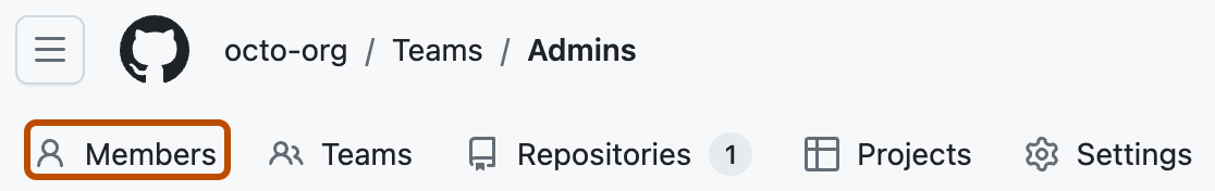 Screenshot of the header of a team's page. A tab, labeled with an organization icon and "Members", is outlined in dark orange.