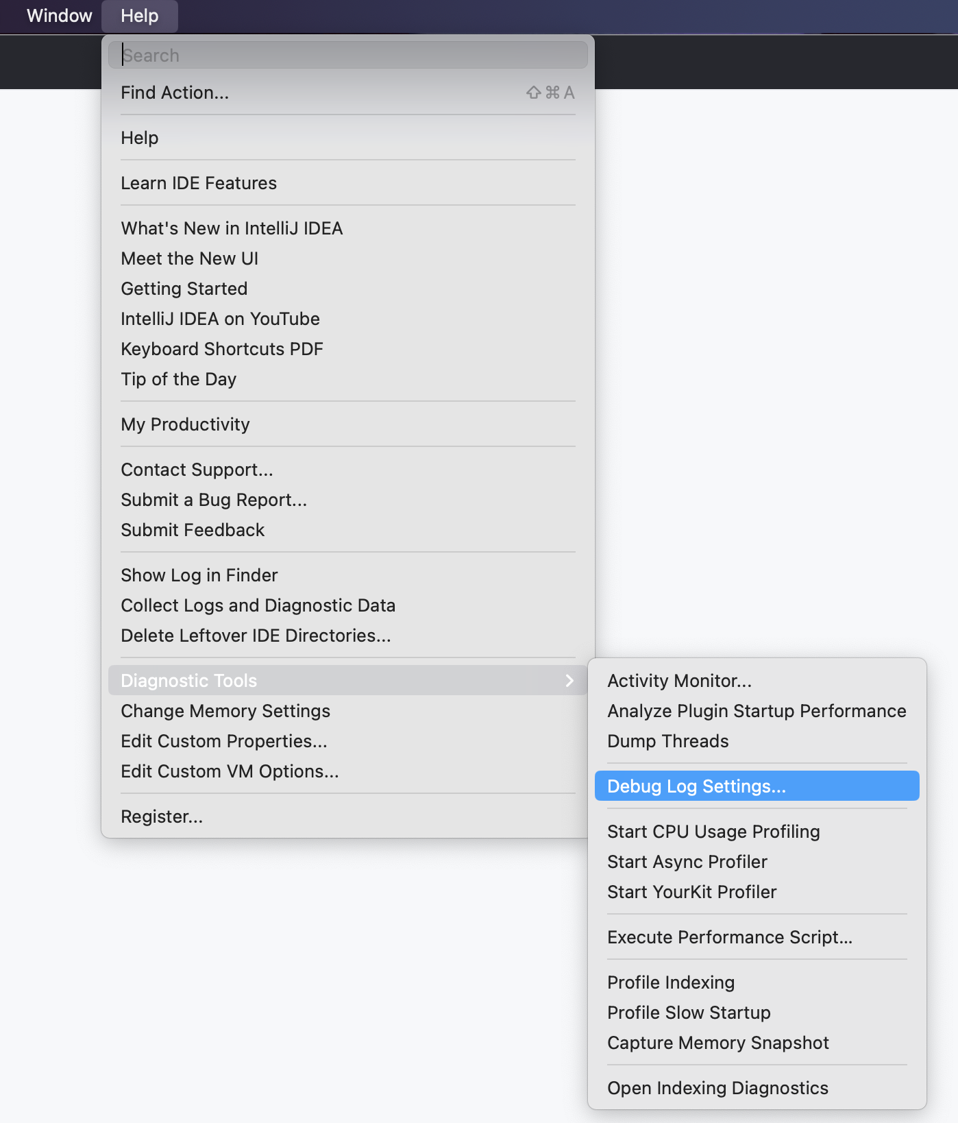Screenshot of the menu bar in a JetBrains IDE. The "Help" menu and "Diagnostic Tools" submenu are expanded and "Debug Log Settings" is highlighted.