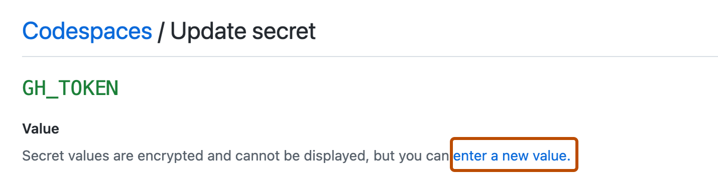Screenshot of the "Codespaces / Update secret" page. The "enter a new value" link is highlighted with a dark orange outline.